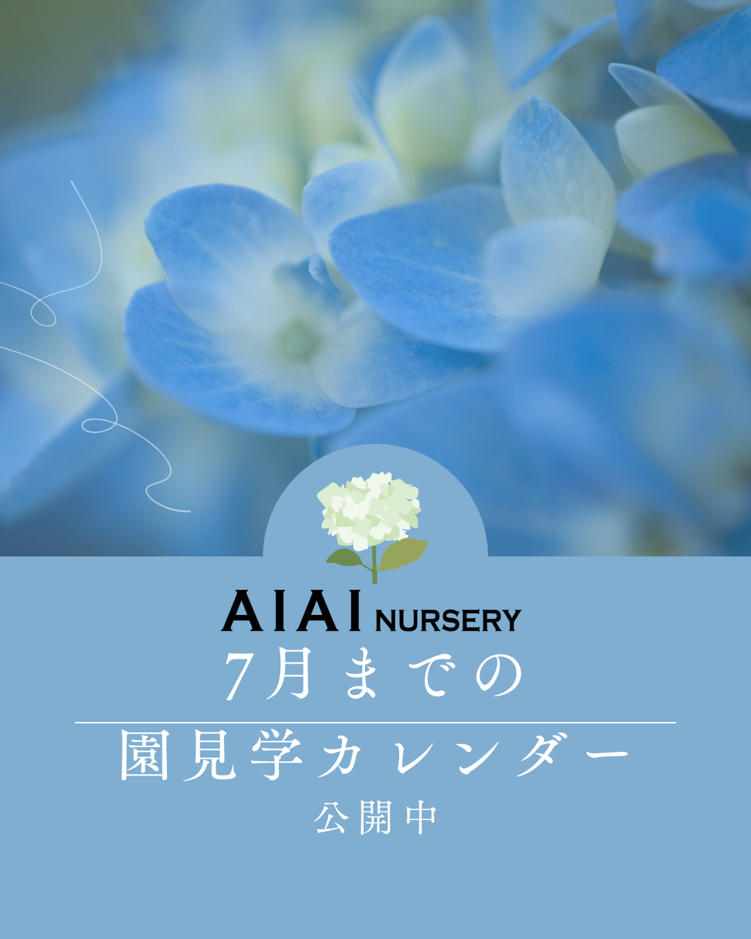 7月の園見学、会社説明会の受付スタート🐸